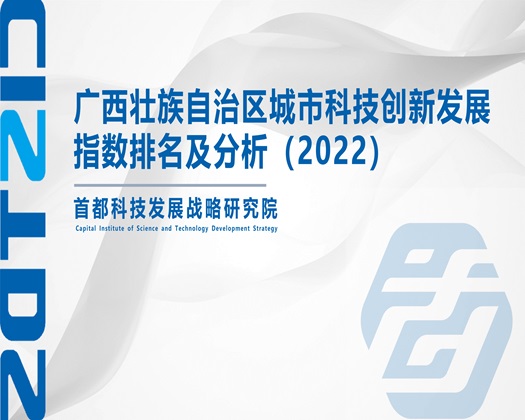 使劲操我啊啊【成果发布】广西壮族自治区城市科技创新发展指数排名及分析（2022）